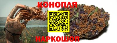 дурь Камышлов