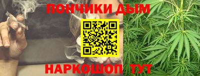 дурь Камышлов