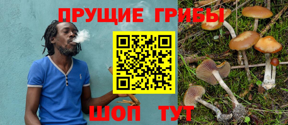 Галлюциногенные грибы Cubensis  Вход с VPN  Хасавюрт 