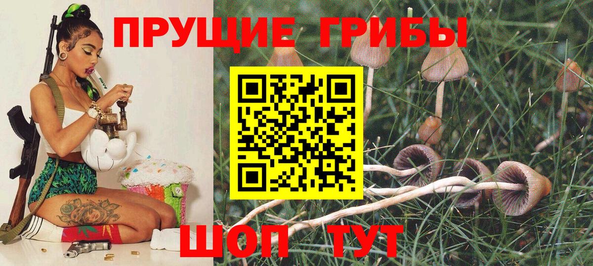 Галлюциногенные грибы MAGIC MUSHROOMS Хасавюрт